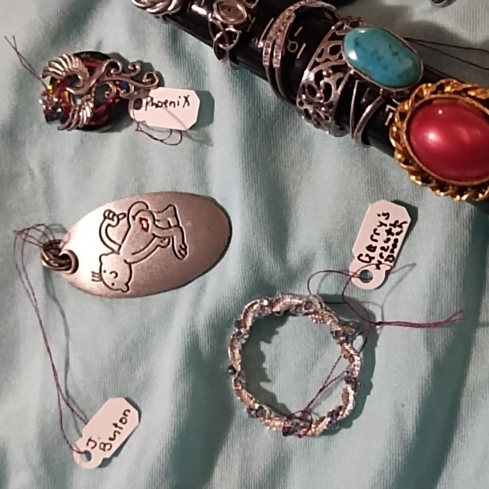Assorted Silver and Gemstone Rings with Turtle Pendant Costume Jewelry Lot - Picture 2 of 4